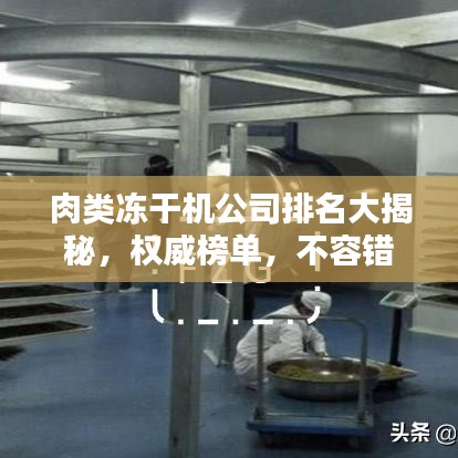 肉類凍干機公司排名大揭秘，權威榜單，不容錯過！