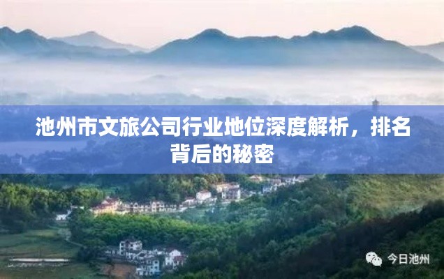 池州市文旅公司行業(yè)地位深度解析，排名背后的秘密
