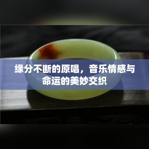 緣分不斷的原唱，音樂情感與命運(yùn)的美妙交織