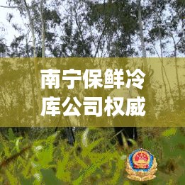 南寧保鮮冷庫(kù)公司權(quán)威排名榜單揭曉！