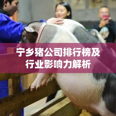 寧鄉(xiāng)豬公司排行榜及行業(yè)影響力解析
