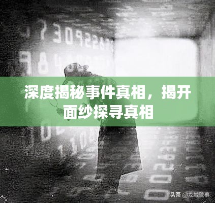 深度揭秘事件真相，揭開(kāi)面紗探尋真相
