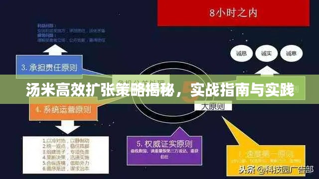 湯米高效擴(kuò)張策略揭秘，實(shí)戰(zhàn)指南與實(shí)踐
