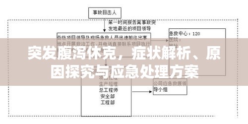 突發(fā)腹瀉休克，癥狀解析、原因探究與應(yīng)急處理方案