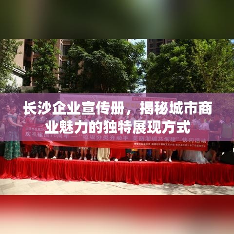 長(zhǎng)沙企業(yè)宣傳冊(cè)，揭秘城市商業(yè)魅力的獨(dú)特展現(xiàn)方式