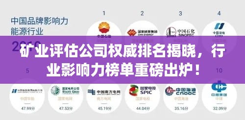 礦業(yè)評估公司權(quán)威排名揭曉，行業(yè)影響力榜單重磅出爐！