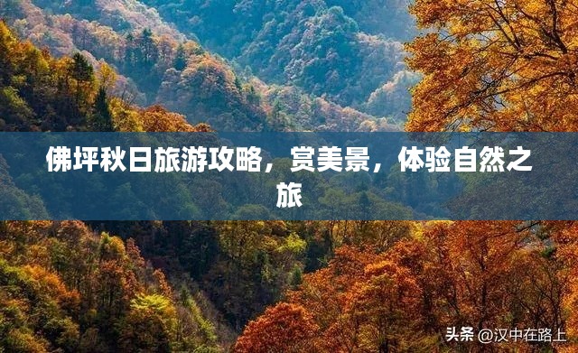 佛坪秋日旅游攻略，賞美景，體驗自然之旅