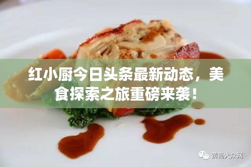 紅小廚今日頭條最新動態(tài)，美食探索之旅重磅來襲！