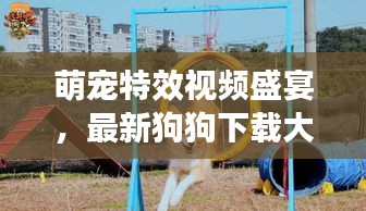 萌寵特效視頻盛宴，最新狗狗下載大全，一網(wǎng)打盡娛樂(lè)時(shí)光