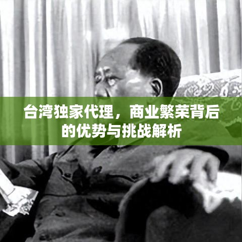 臺灣獨家代理，商業(yè)繁榮背后的優(yōu)勢與挑戰(zhàn)解析