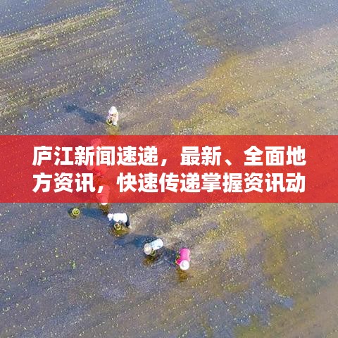 廬江新聞速遞，最新、全面地方資訊，快速傳遞掌握資訊動態(tài)
