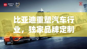 比亞迪重塑汽車行業(yè)，獨(dú)家品牌定制，開啟定制新紀(jì)元