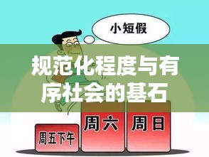 規(guī)范化程度與有序社會(huì)的基石，構(gòu)建社會(huì)秩序的基石