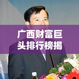 廣西財(cái)富巨頭排行榜揭秘，公司影響力深度分析