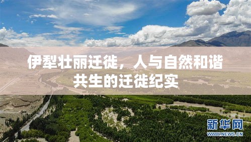 伊犁壯麗遷徙，人與自然和諧共生的遷徙紀(jì)實(shí)