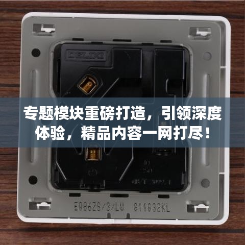 專題模塊重磅打造，引領深度體驗，精品內(nèi)容一網(wǎng)打盡！