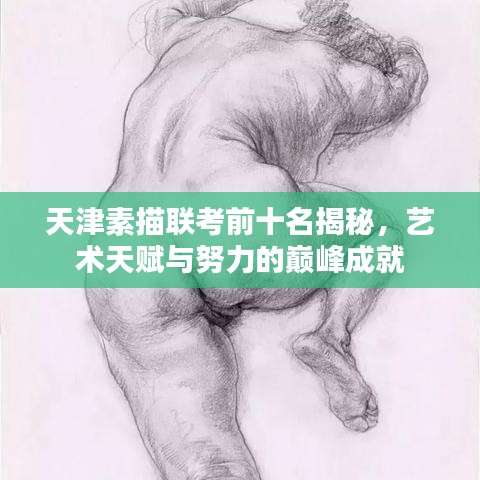 天津素描聯(lián)考前十名揭秘，藝術(shù)天賦與努力的巔峰成就