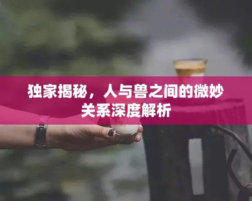 獨家揭秘，人與獸之間的微妙關(guān)系深度解析