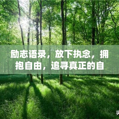勵志語錄，放下執(zhí)念，擁抱自由，追尋真正的自我之路