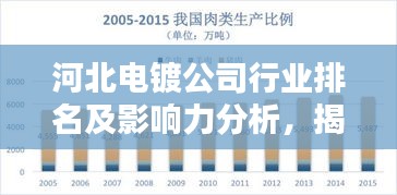 河北電鍍公司行業(yè)排名及影響力分析，揭秘行業(yè)巨頭！