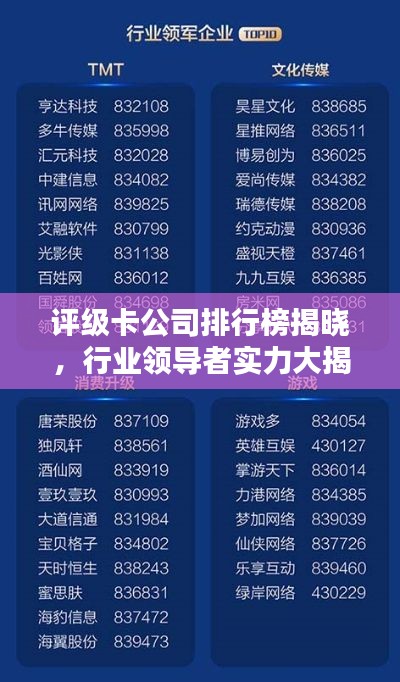 評級卡公司排行榜揭曉，行業(yè)領(lǐng)導(dǎo)者實力大揭秘！