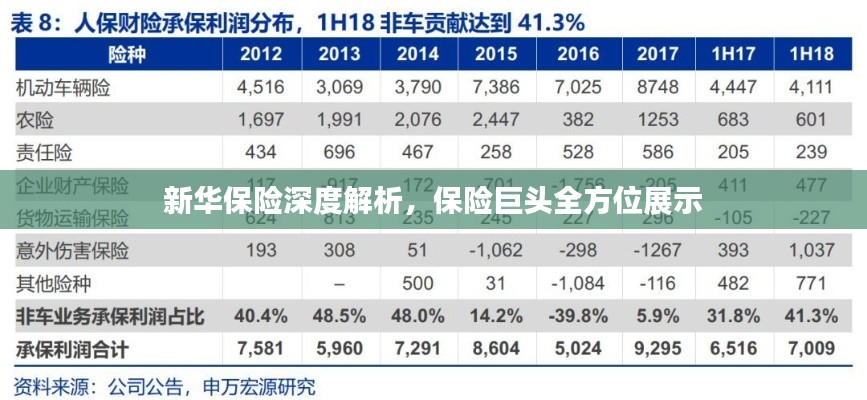 新華保險深度解析，保險巨頭全方位展示