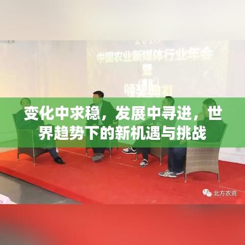 變化中求穩(wěn)，發(fā)展中尋進，世界趨勢下的新機遇與挑戰(zhàn)