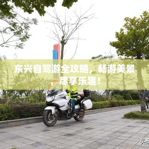 東興自駕游全攻略，暢游美景，盡享樂趣！