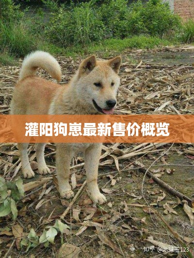 寧靜致遠(yuǎn) 第2頁