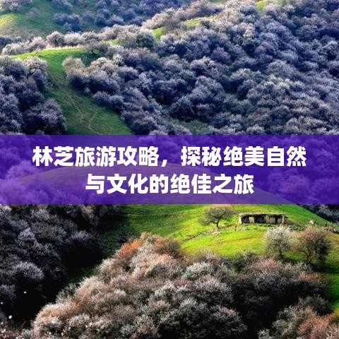 文質(zhì)彬彬 第2頁