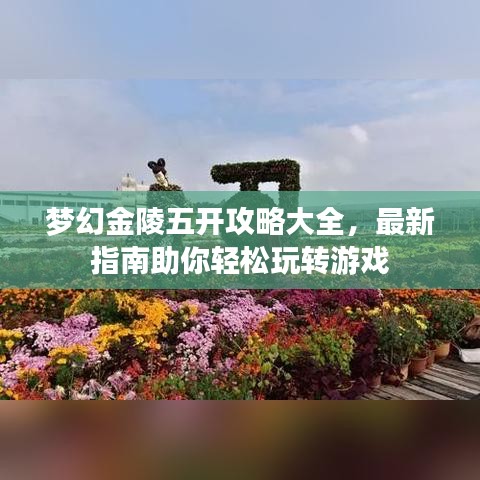 夢(mèng)幻金陵五開(kāi)攻略大全，最新指南助你輕松玩轉(zhuǎn)游戲