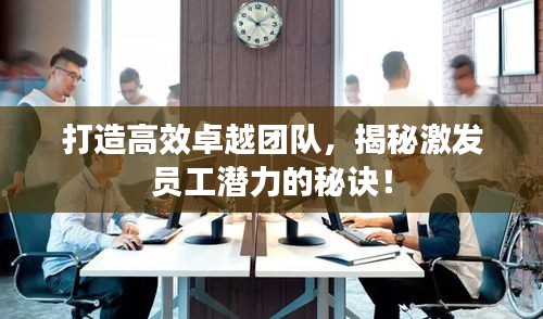 打造高效卓越團(tuán)隊，揭秘激發(fā)員工潛力的秘訣！