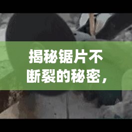 揭秘鋸片不斷裂的秘密，技術(shù)革新與材料科學(xué)的完美結(jié)合之道