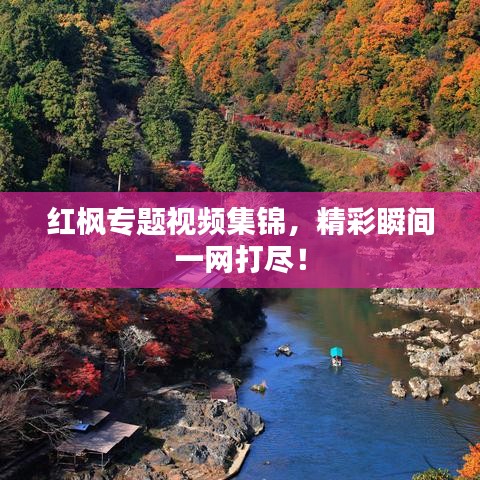 紅楓專(zhuān)題視頻集錦，精彩瞬間一網(wǎng)打盡！