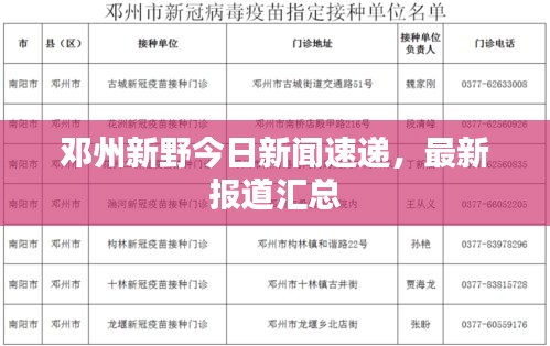 鄧州新野今日新聞速遞，最新報(bào)道匯總