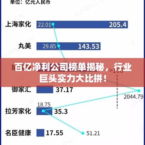百億凈利公司榜單揭秘，行業(yè)巨頭實(shí)力大比拼！