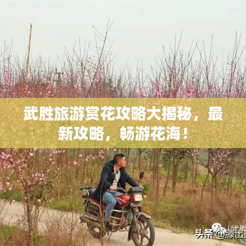 武勝旅游賞花攻略大揭秘，最新攻略，暢游花海！