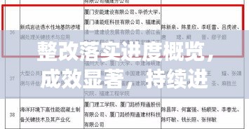 整改落實(shí)進(jìn)度概覽，成效顯著，持續(xù)進(jìn)步報(bào)告