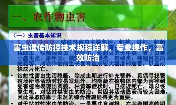 害蟲遺傳防控技術規(guī)程詳解，專業(yè)操作，高效防治
