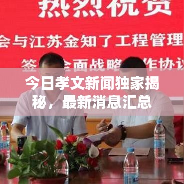 今日孝文新聞獨(dú)家揭秘，最新消息匯總
