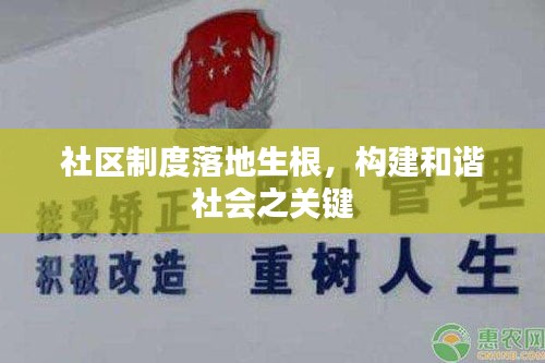 社區(qū)制度落地生根，構(gòu)建和諧社會之關(guān)鍵