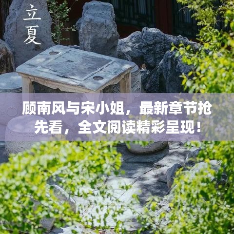 顧南風(fēng)與宋小姐，最新章節(jié)搶先看，全文閱讀精彩呈現(xiàn)！