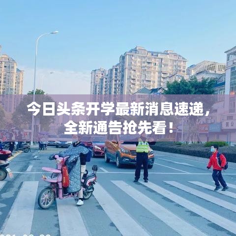 今日頭條開學(xué)最新消息速遞，全新通告搶先看！