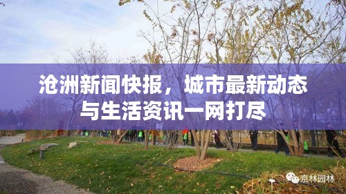 滄洲新聞快報(bào)，城市最新動(dòng)態(tài)與生活資訊一網(wǎng)打盡