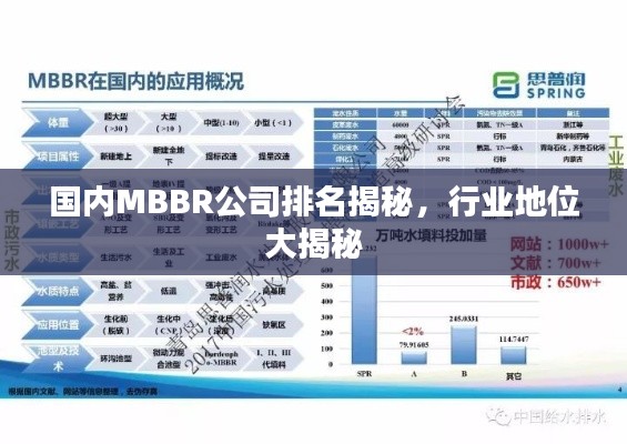 國內(nèi)MBBR公司排名揭秘，行業(yè)地位大揭秘