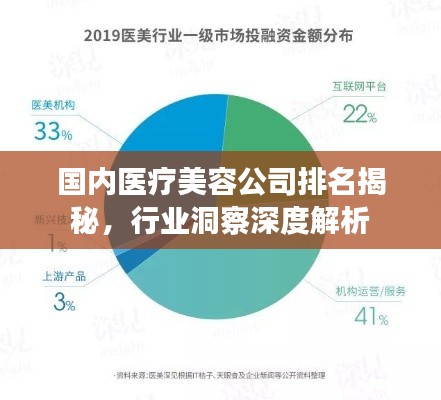 國(guó)內(nèi)醫(yī)療美容公司排名揭秘，行業(yè)洞察深度解析