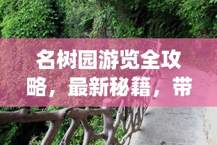 名樹園游覽全攻略，最新秘籍，帶你領(lǐng)略自然之美！