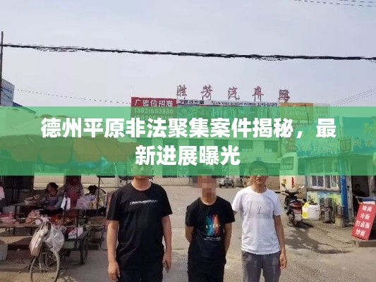 德州平原非法聚集案件揭秘，最新進(jìn)展曝光