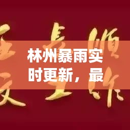 林州暴雨實時更新，最新視頻報道來襲