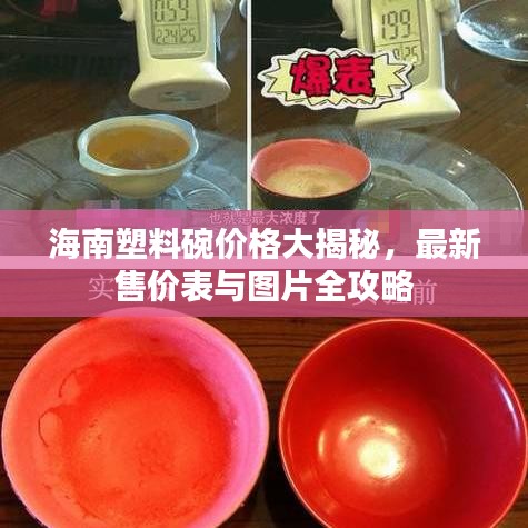 海南塑料碗價格大揭秘，最新售價表與圖片全攻略
